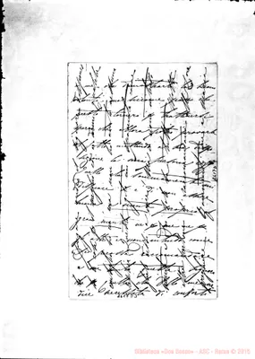 Fotogramma D 3