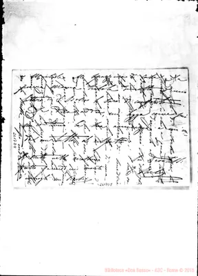 Fotogramma D 8