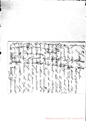 Fotogramma E 6
