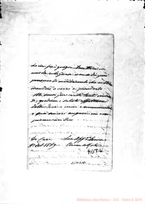 Fotogramma E 11