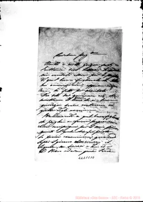 Fotogramma C 10