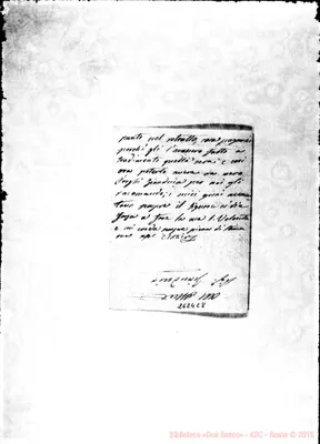 Fotogramma C 8