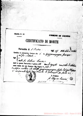 Fotogramma A 11