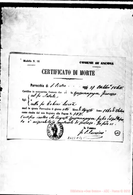 Fotogramma A 12