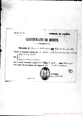 Fotogramma B 1