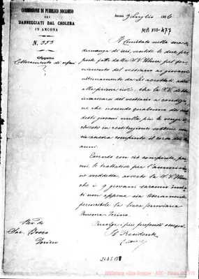 Fotogramma B 8