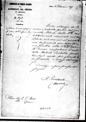 Fotogramma C 11
