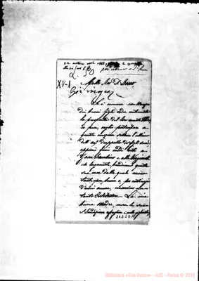 Fotogramma D 11