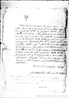 Fotogramma C 11