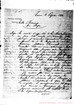 Fotogramma D 11