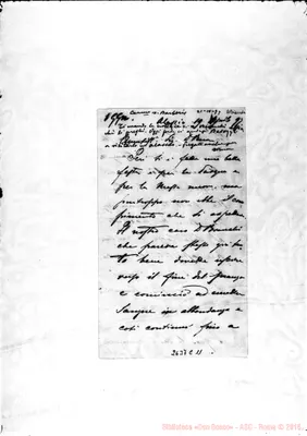 Fotogramma C 11