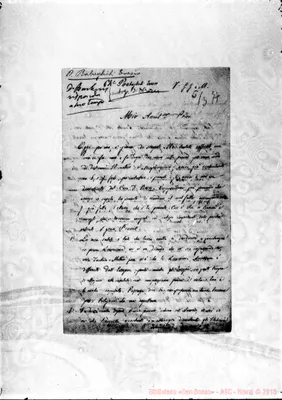 Fotogramma C 11