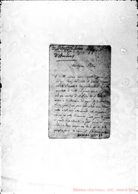 Fotogramma D 2