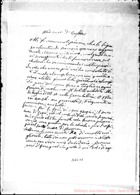 Fotogramma D 7