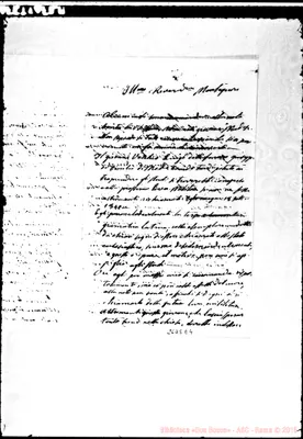 Fotogramma E 4