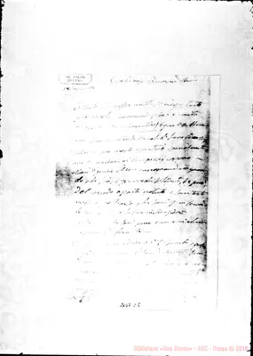 Fotogramma C 5
