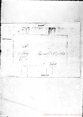 Fotogramma C 11