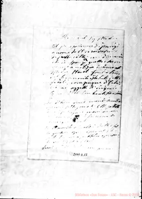 Fotogramma D 12