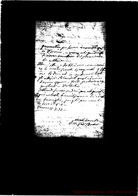 Fotogramma D 11