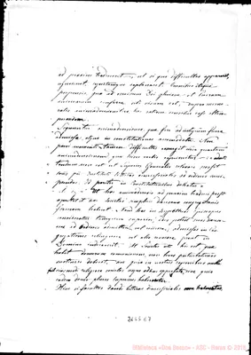 Fotogramma E 7