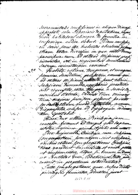 Fotogramma C 11