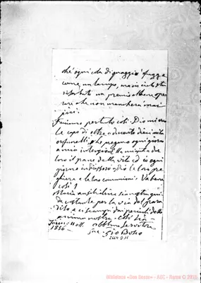 Fotogramma D 11