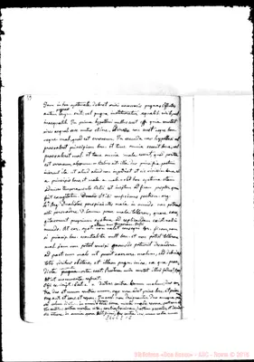 Fotogramma E 12