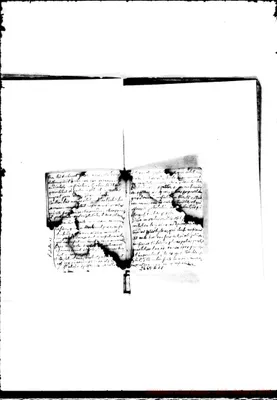 Fotogramma E 11
