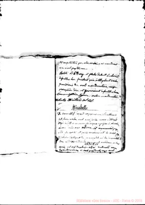 Fotogramma A 11