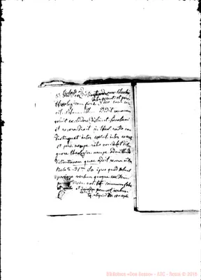 Fotogramma C 2