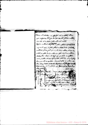 Fotogramma C 11