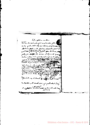 Fotogramma D 4