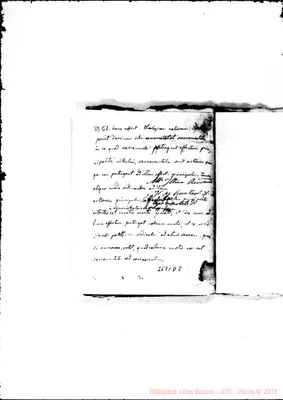 Fotogramma D 8
