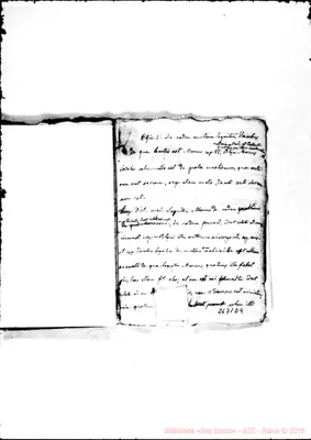 Fotogramma D 9