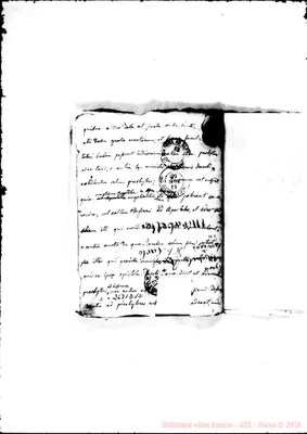 Fotogramma D 10
