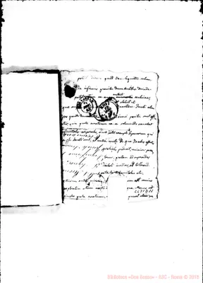 Fotogramma D 11