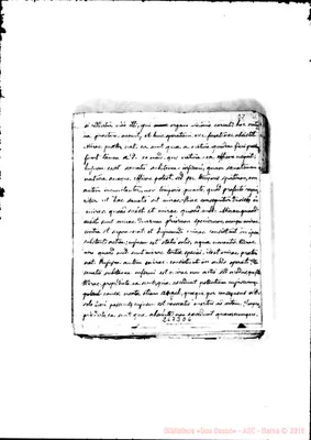 Fotogramma D 6