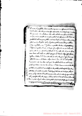 Fotogramma D 11