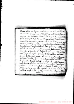 Fotogramma C 8