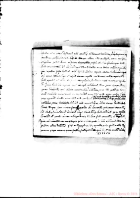 Fotogramma C 6