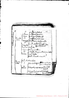 Fotogramma C 9