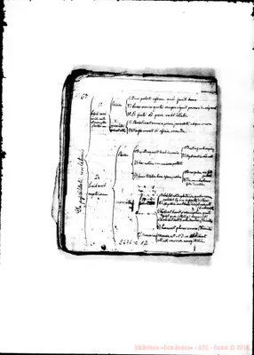 Fotogramma C 12