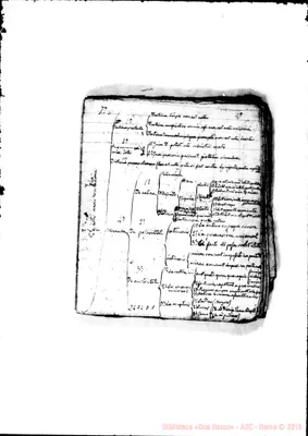 Fotogramma D 1