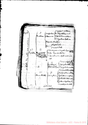 Fotogramma D 2