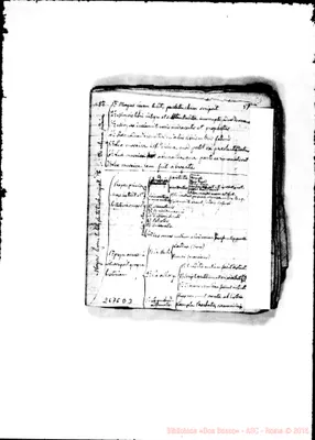 Fotogramma D 3