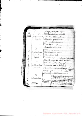 Fotogramma D 6