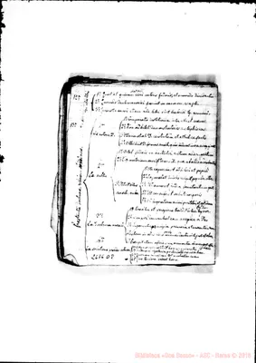 Fotogramma D 8