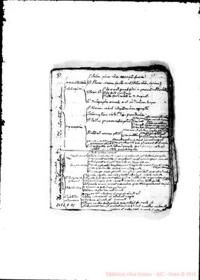 Fotogramma D 11