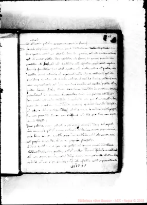 Fotogramma C 1