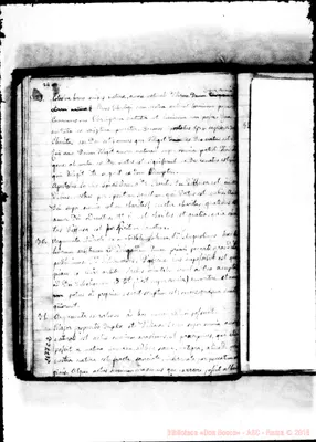 Fotogramma C 2